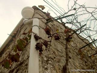 Borgo Niria